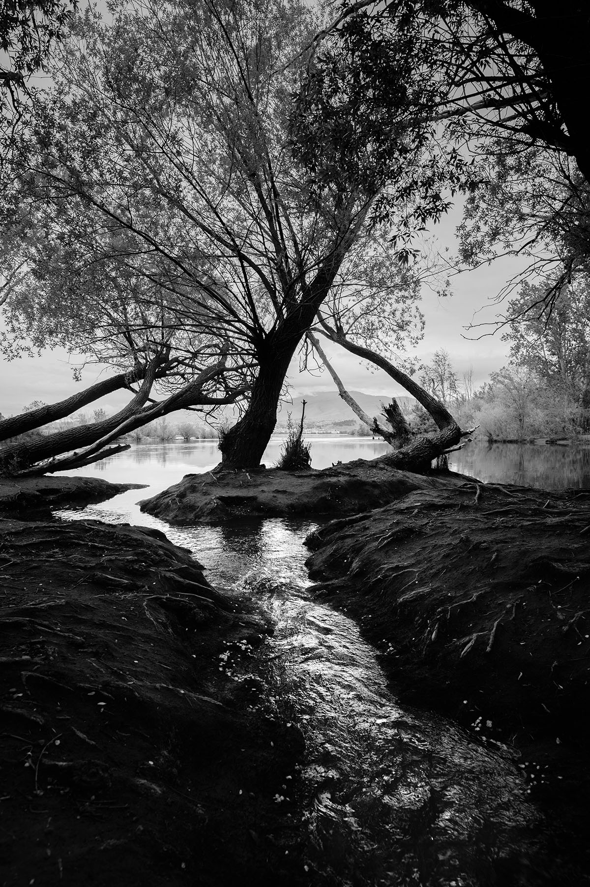 Black and white photo of a river. Photo by Frank Cone.
